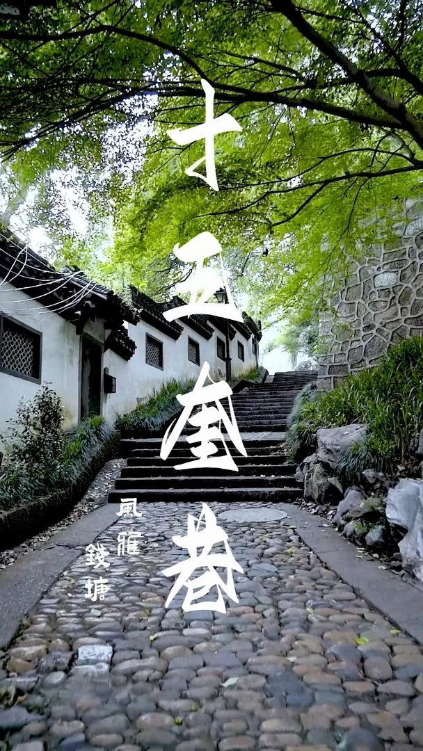 十五奎巷
