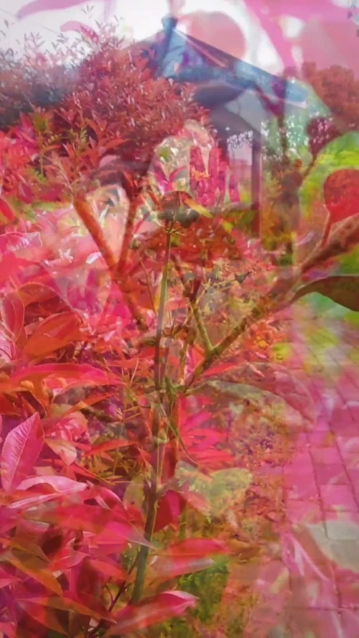 拍攝剪輯特效