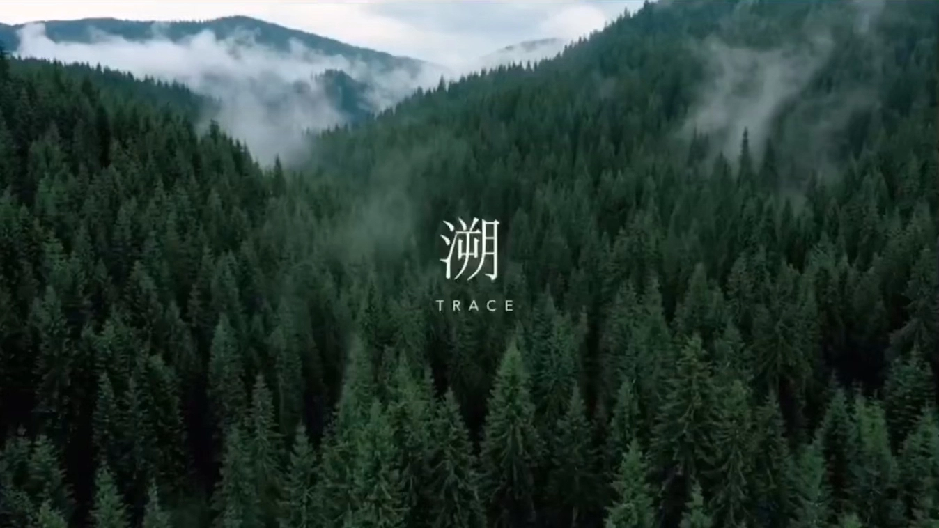 溯