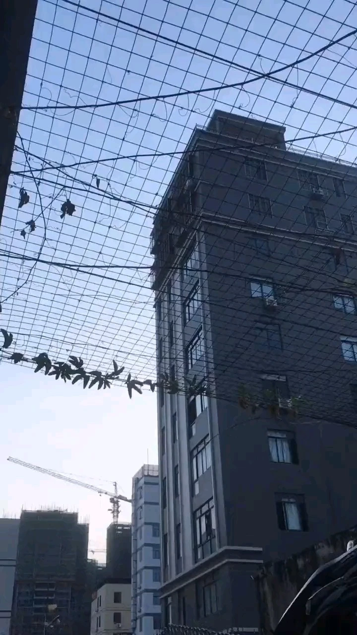 平平無奇的生活