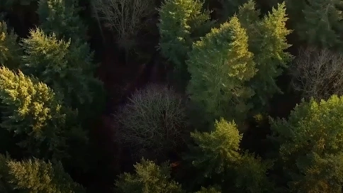 混剪視頻拼接