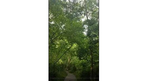平凡的周末-青龙山半日游