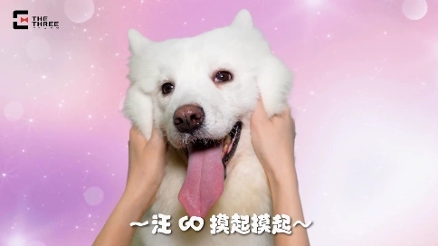淘寶貓爪燈短視頻