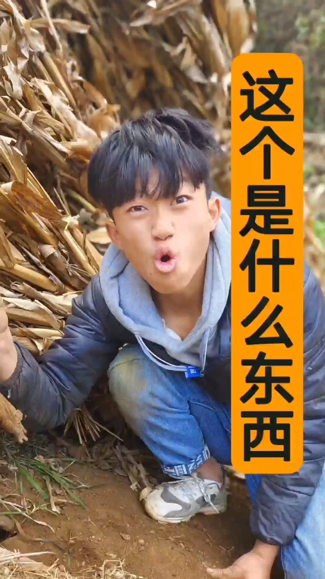 農(nóng)村異事
