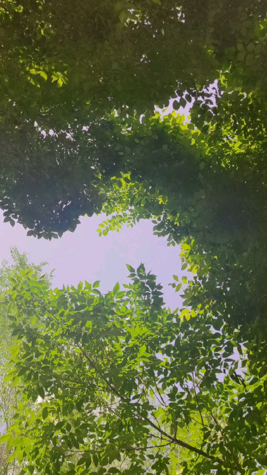 記錄志愿者生涯
