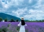 旅游—版納風(fēng)情