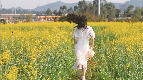 油菜花花海中奔跑的少女背影升格视频