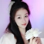 淺口隱形船襪種草