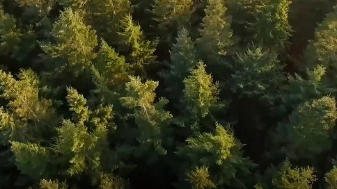 海報(bào)的風(fēng)景