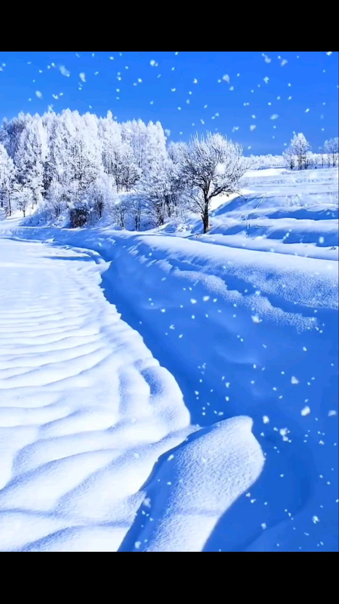 對你的愛白雪一樣純潔
