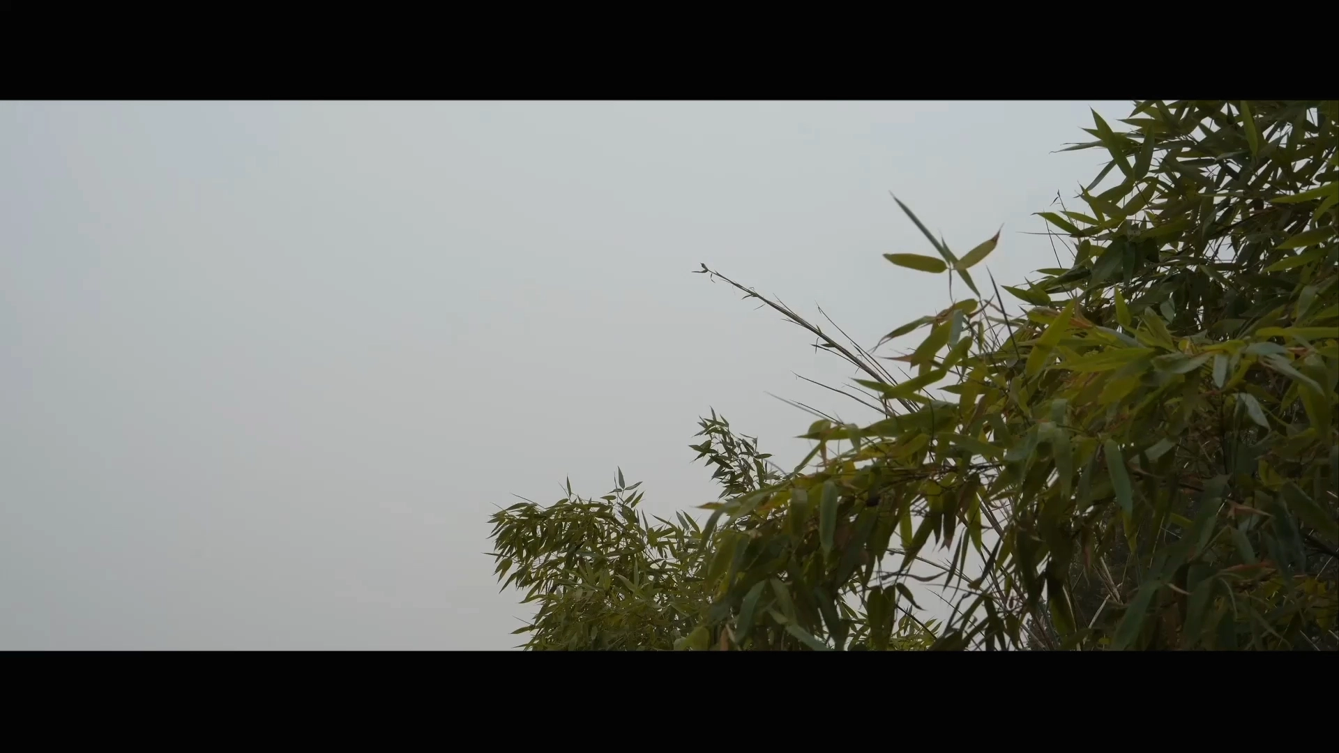 MV《少年錦時》