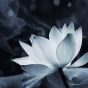 專項(xiàng)行動(dòng)
