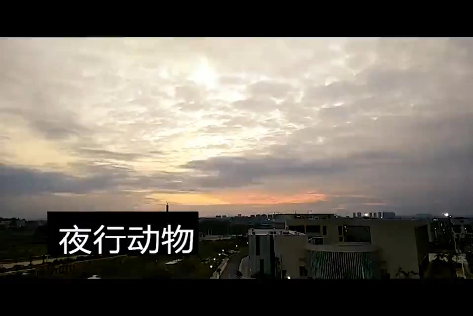 剪輯練手