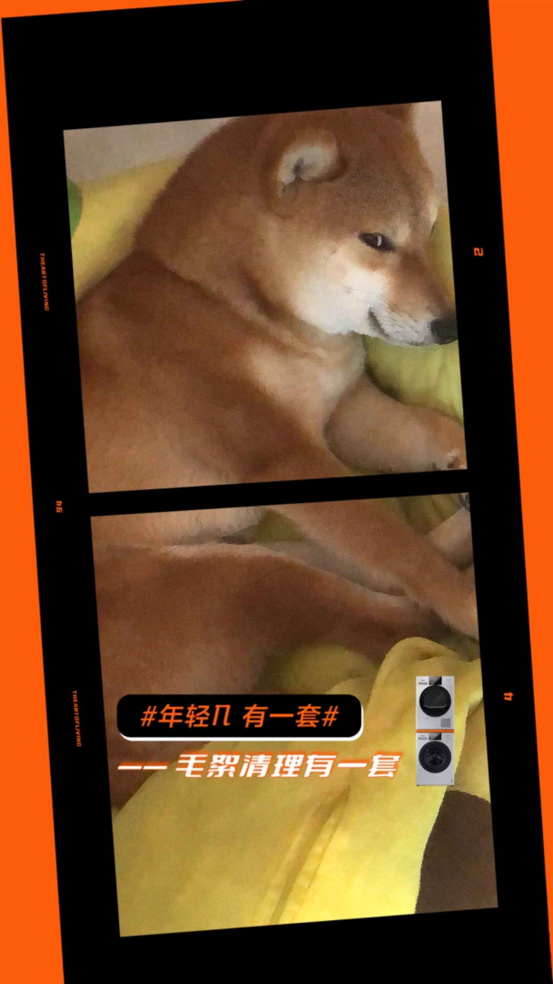 #年輕派有話說