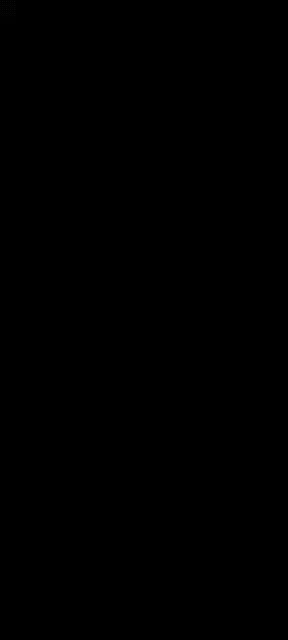 小動(dòng)畫