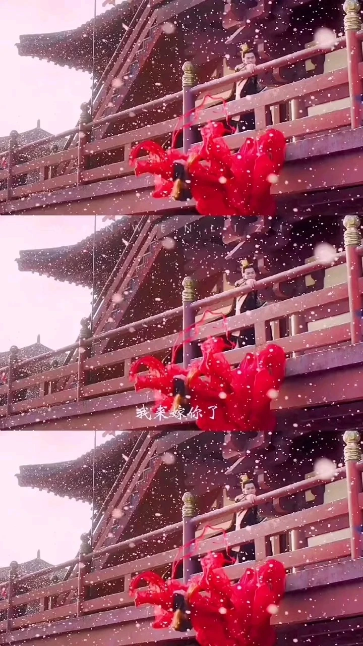【白鹿｜十一X任嘉倫｜周生辰】——周生如