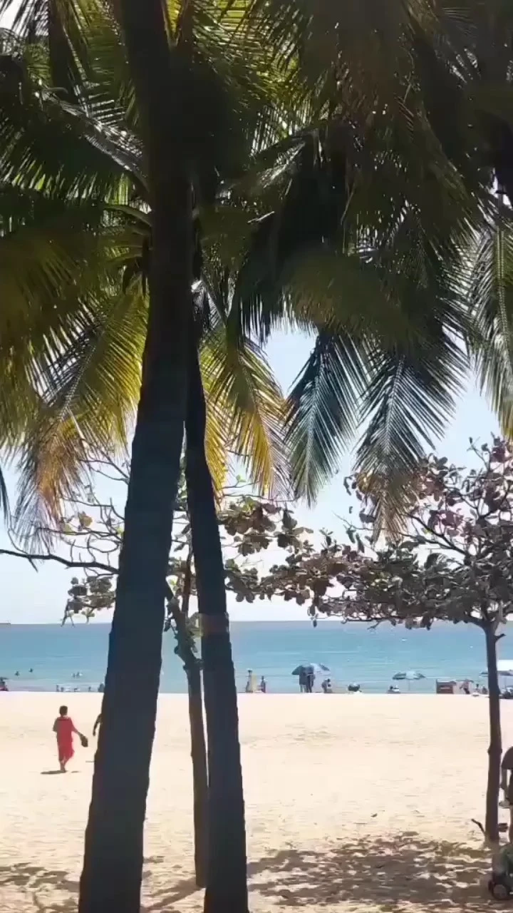 海南風(fēng)光