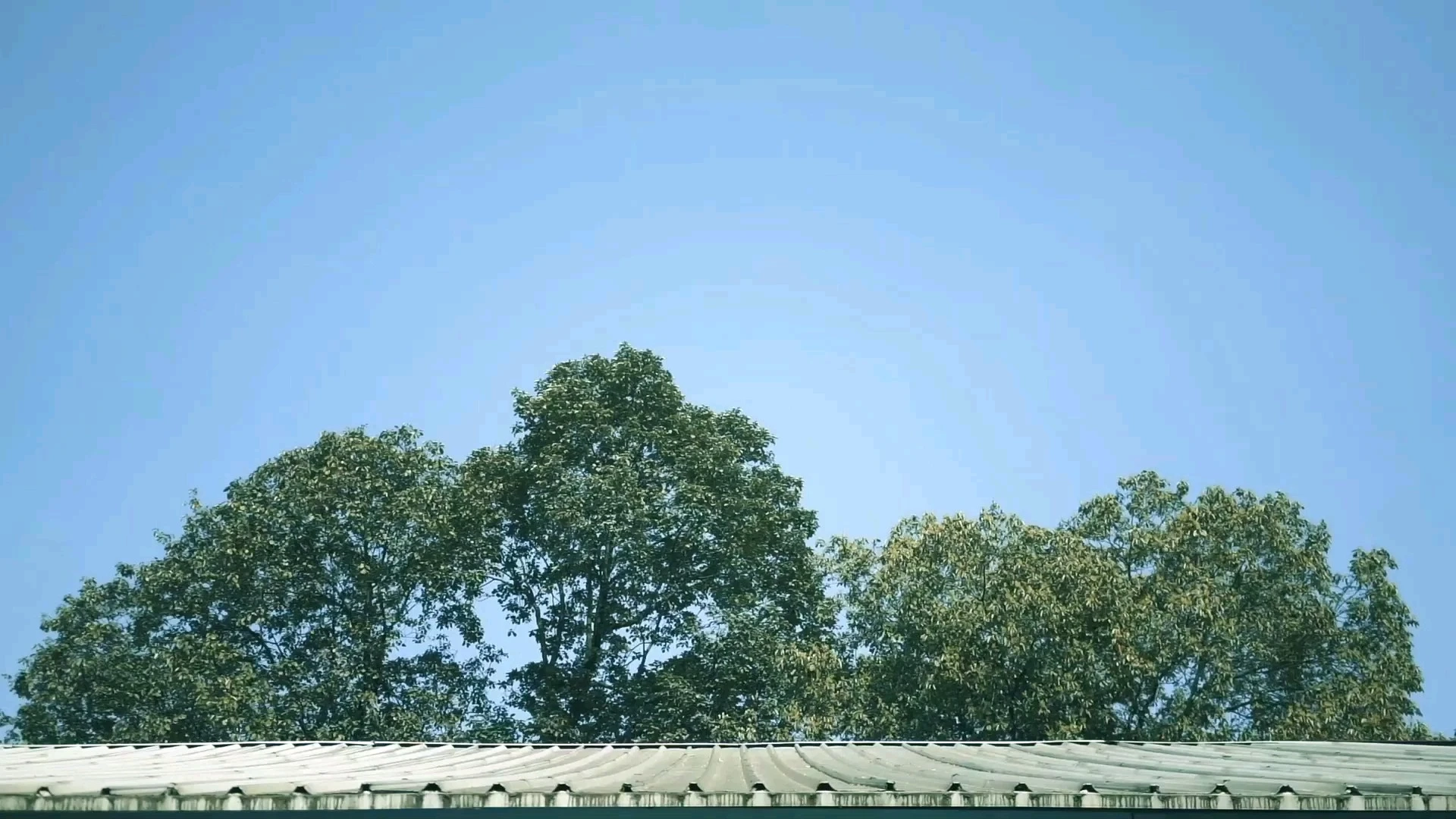 電影