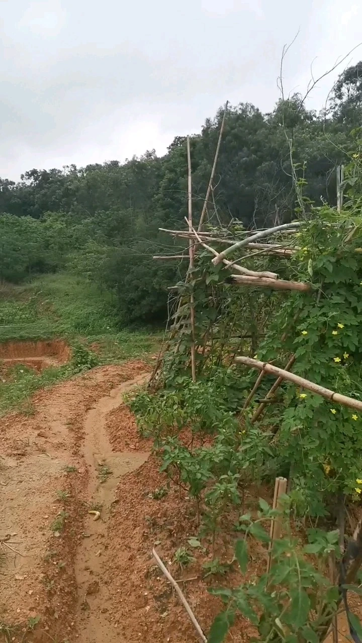 我家的小山莊！