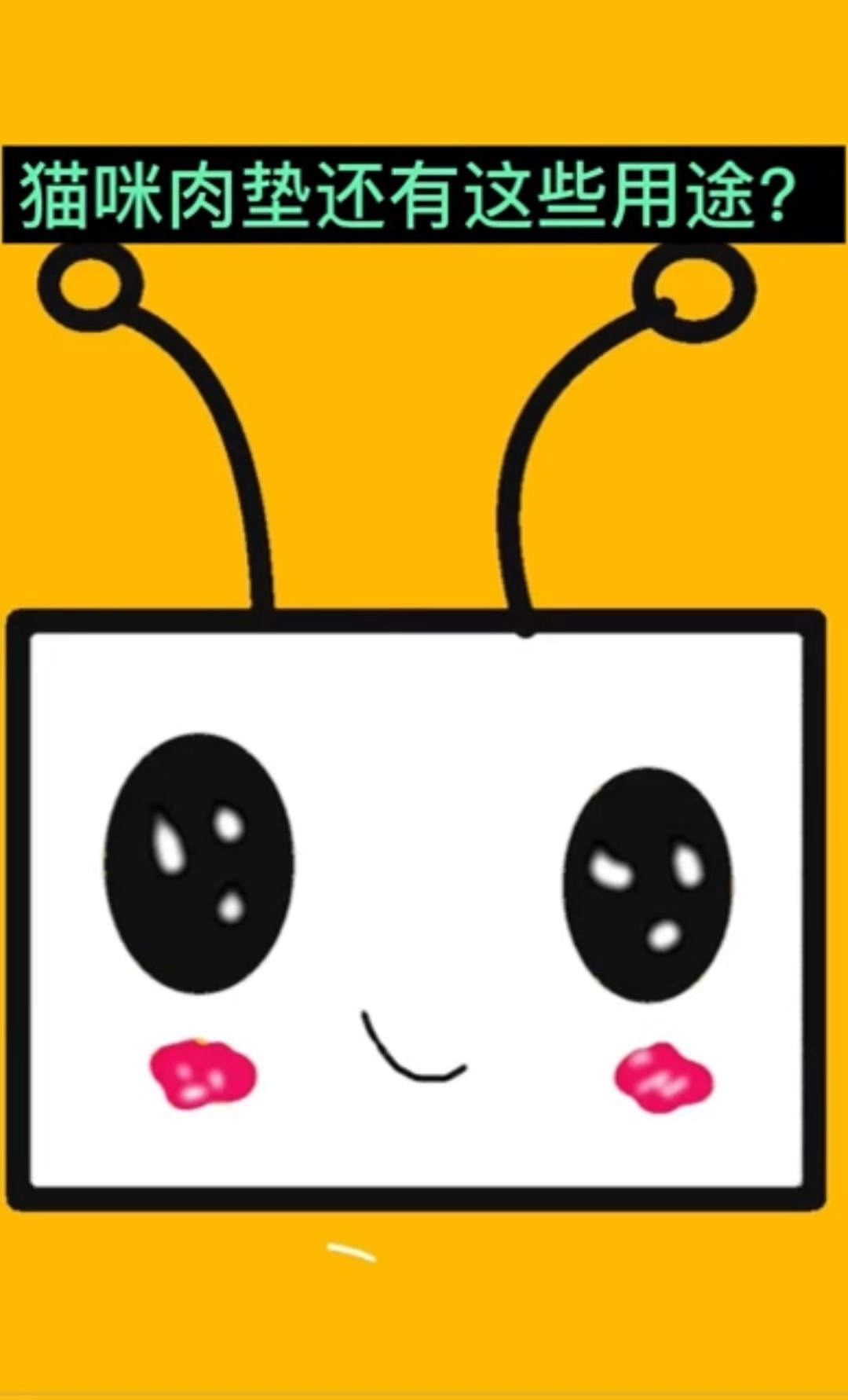 猫咪那些你不知道的事