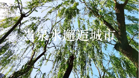 《当泉水邂逅城市》——济南城市形象宣传片