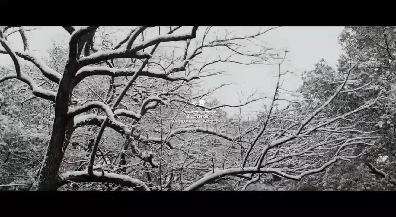 婚禮剪輯