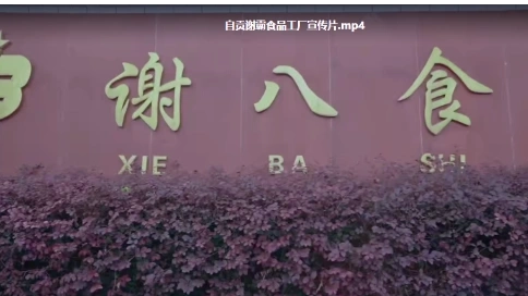 自貢謝霸食品工廠宣傳片