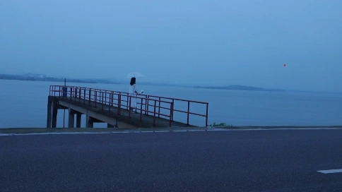 像魚(yú) mv