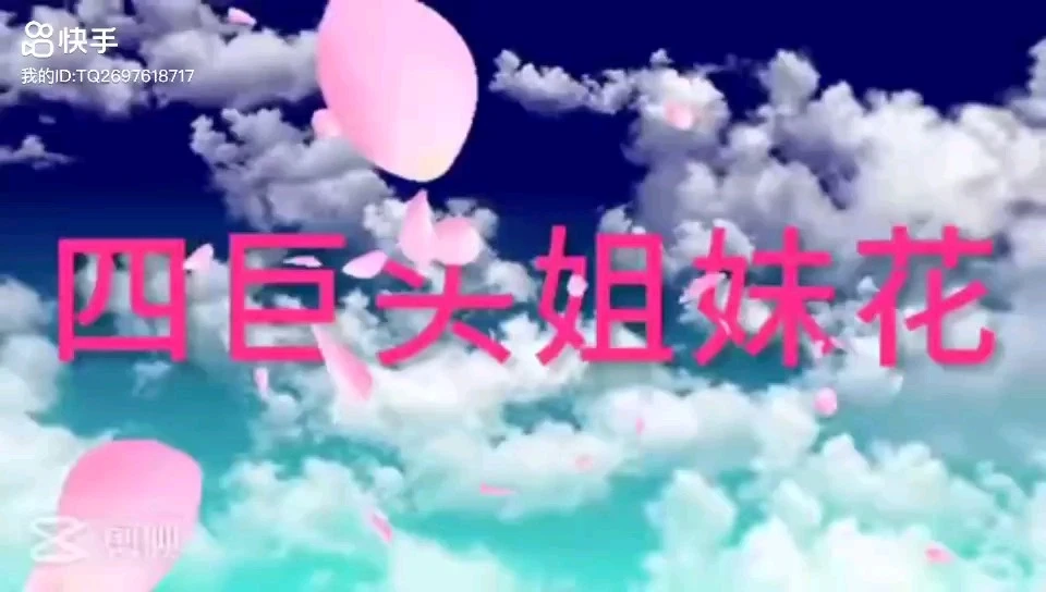 姐妹