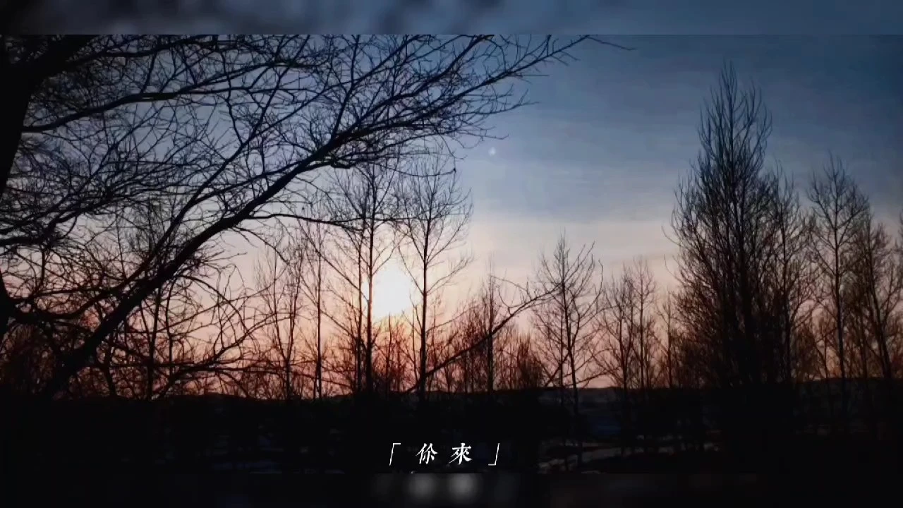 剪輯/拍攝