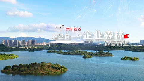 京东智谷企业森林宣传片