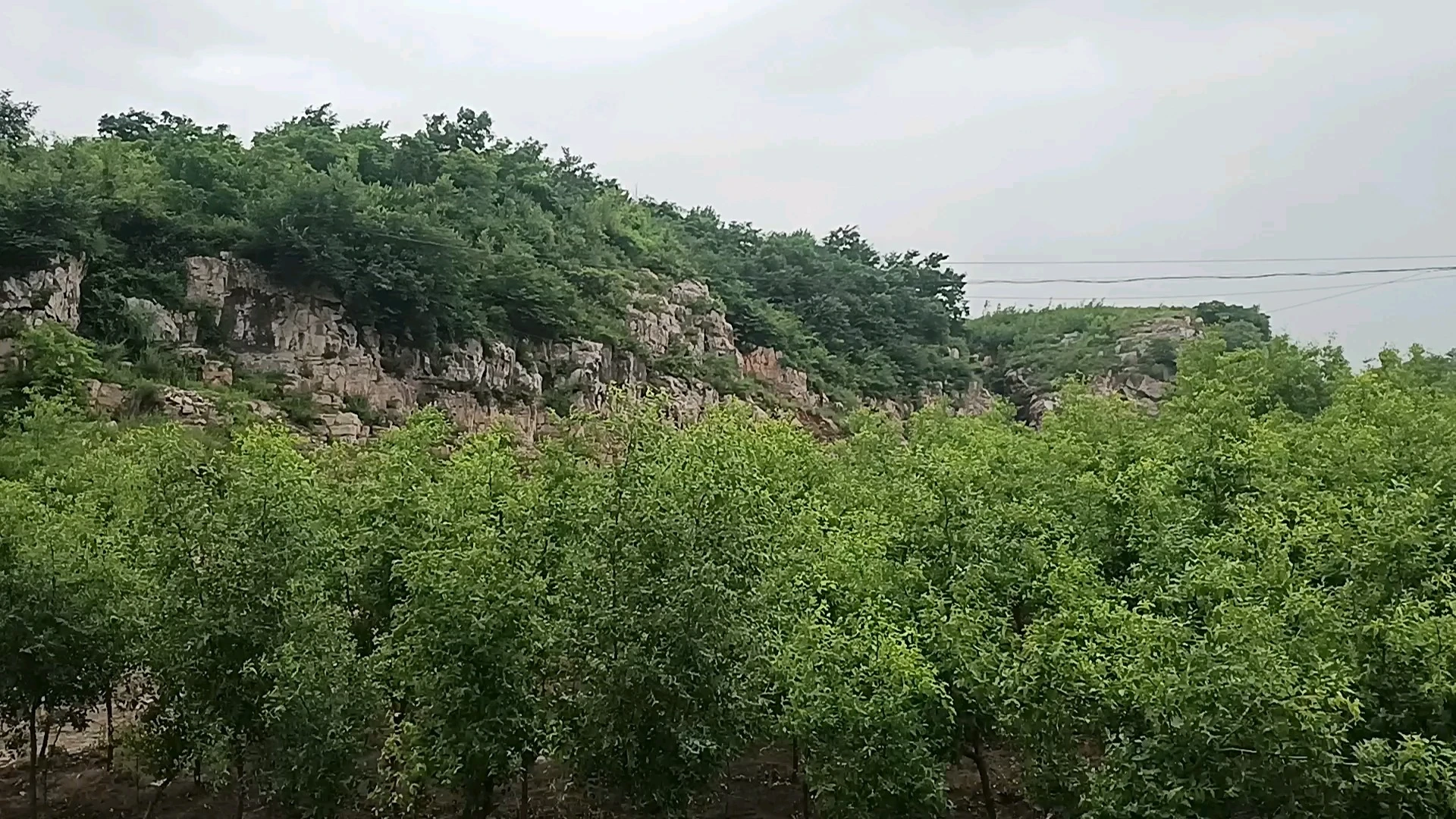 风景