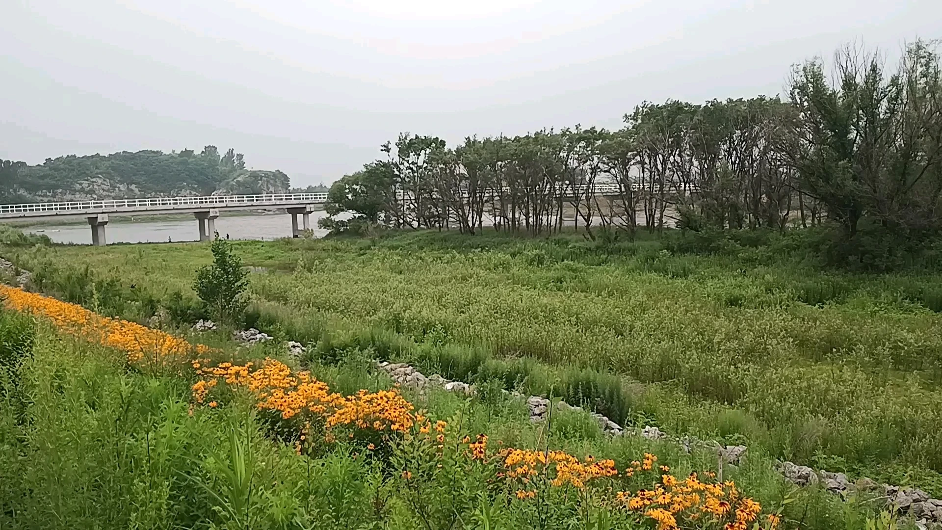 风景