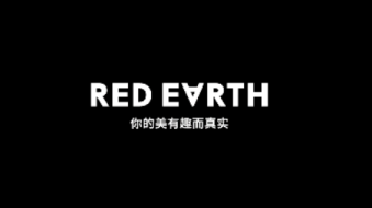 RED-EARTH红色地球三角眉笔