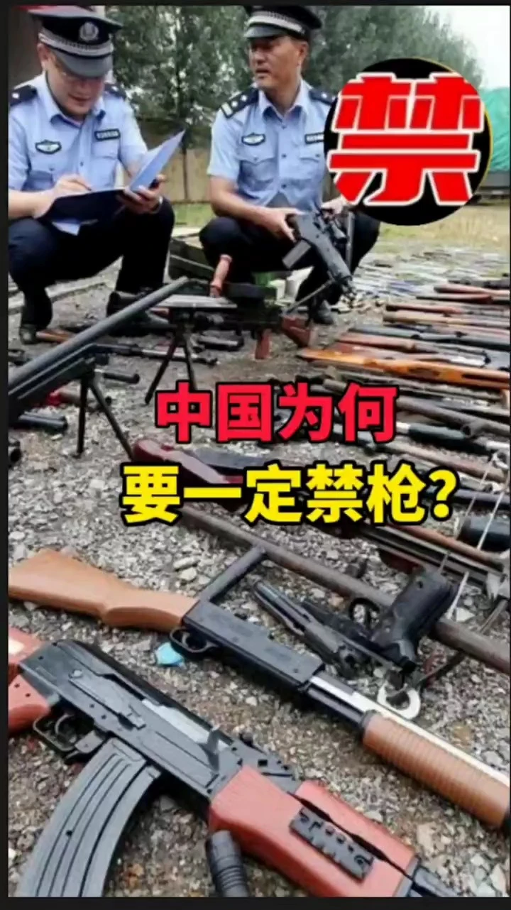 中国为何要禁枪！
