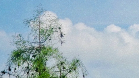 我是一個(gè)很念舊的人