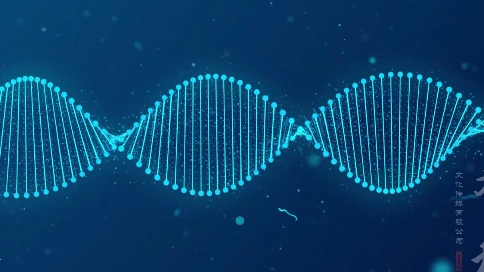 希程-DNA组合