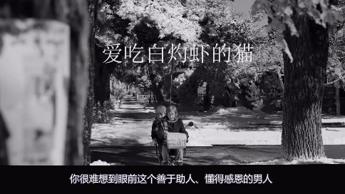 電視劇解說混剪