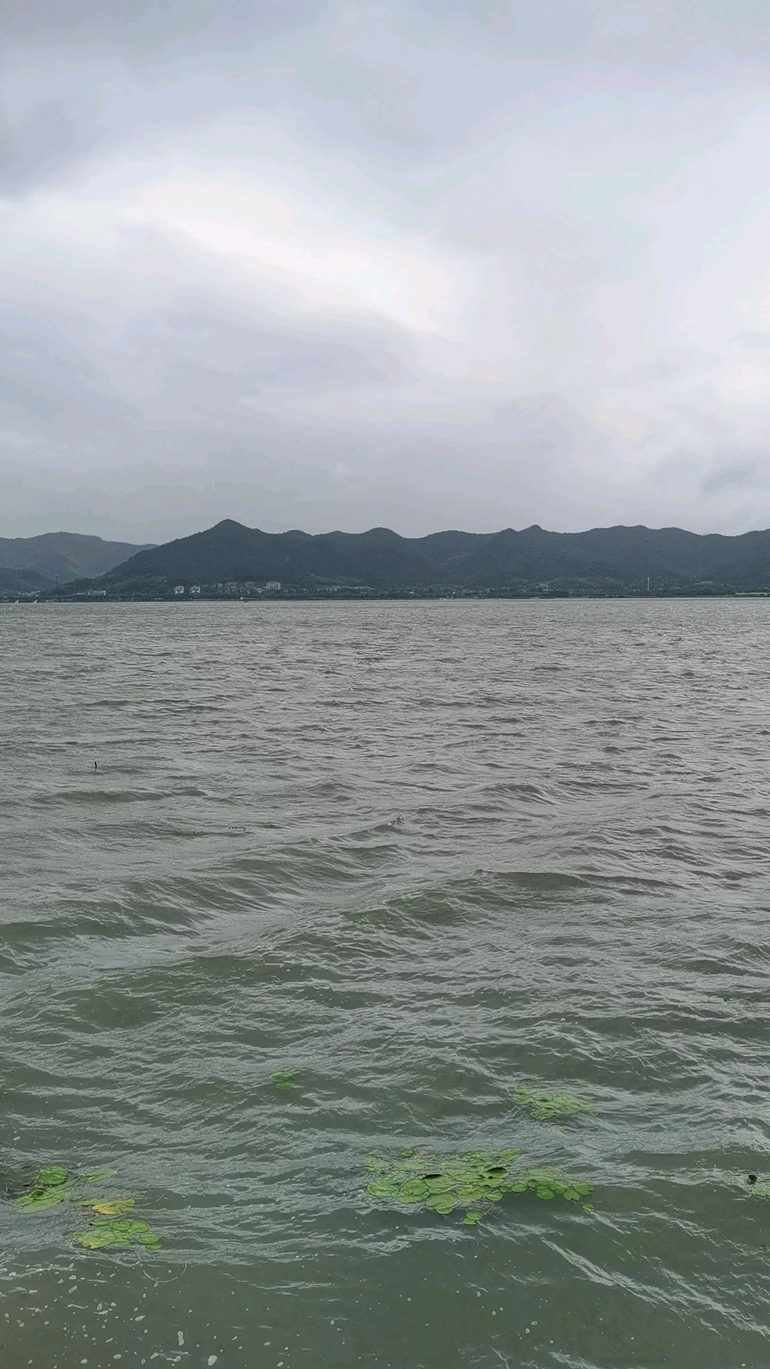 春雨下的東錢(qián)湖