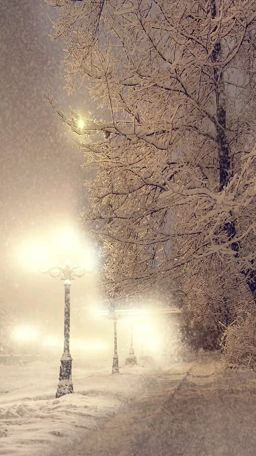 雪