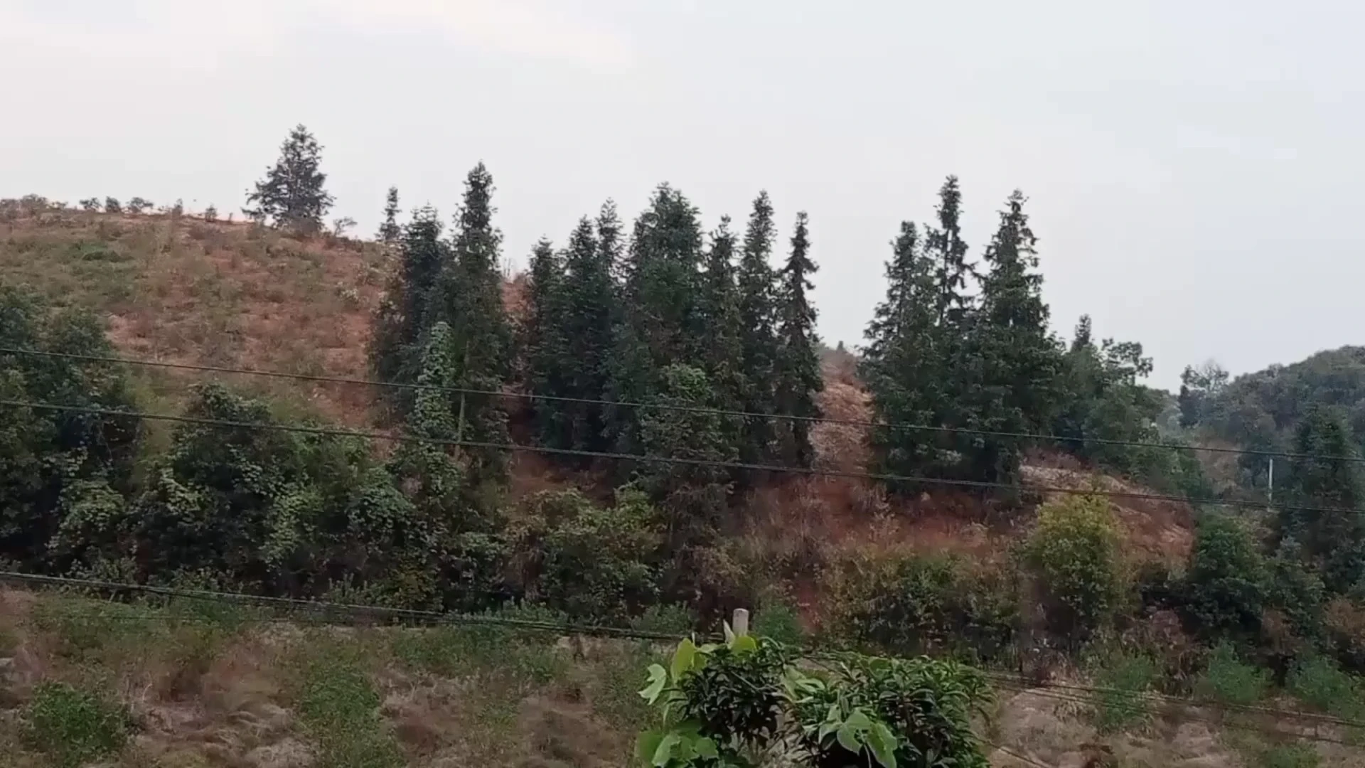 傍晚的日常