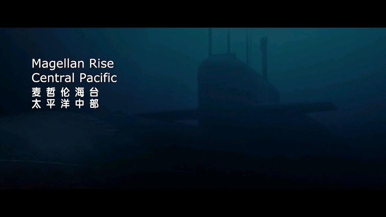 我自己的剪輯模板