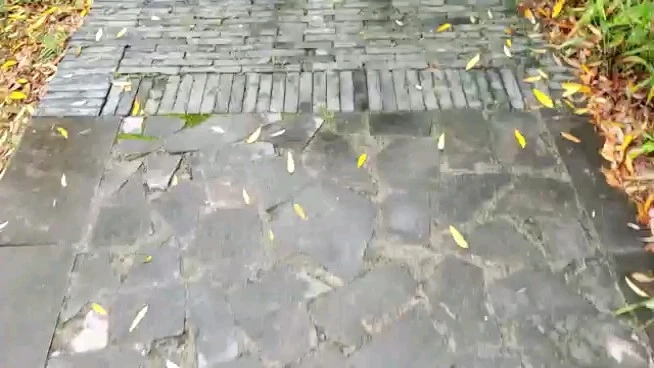 攝影隨機拍