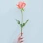 配音小視頻
