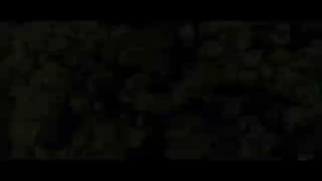 企業(yè)字幕添加
