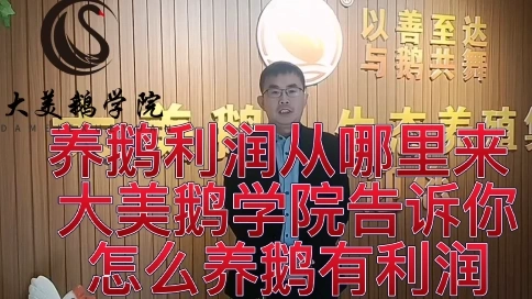 養(yǎng)鵝利潤從哪里來 大美鵝學院告訴你怎么養(yǎng)鵝有利潤
