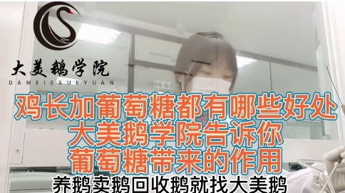 雞長加葡萄糖都有哪些好處大美鵝學院告訴你葡萄糖帶來的作用