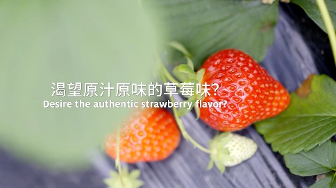 草莓香料原料产品宣传片