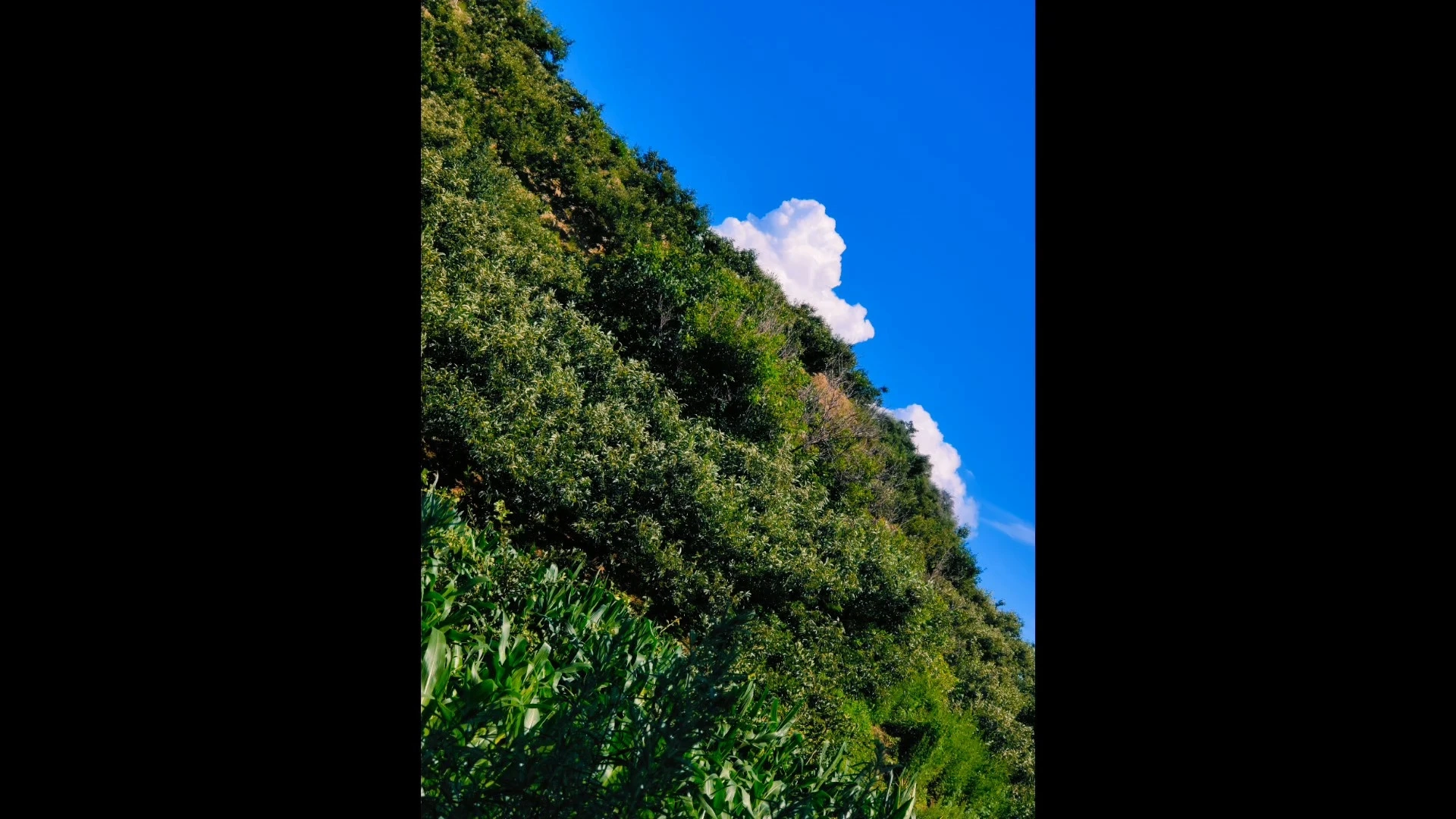 旅行的意義是把風(fēng)景變成故事