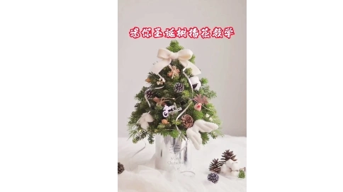 迷你圣誕樹插花
